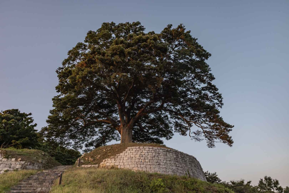 扶余 加林城（부여 가림성）