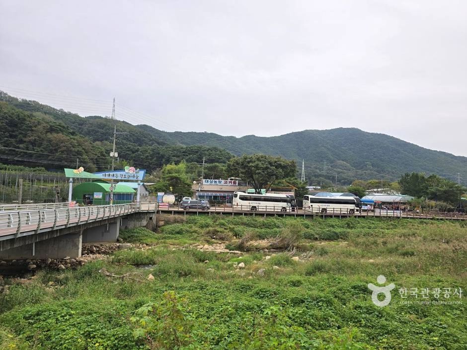 [대구올레 팔공산 5코스] 구암마을 가는 길