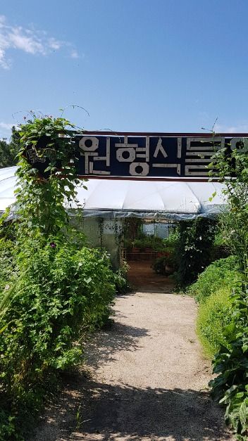 양평_두물머리생태학교 (2)