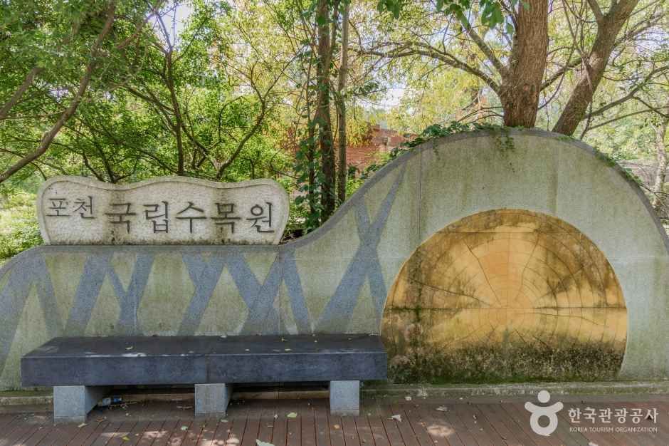 국립수목원(광릉숲)