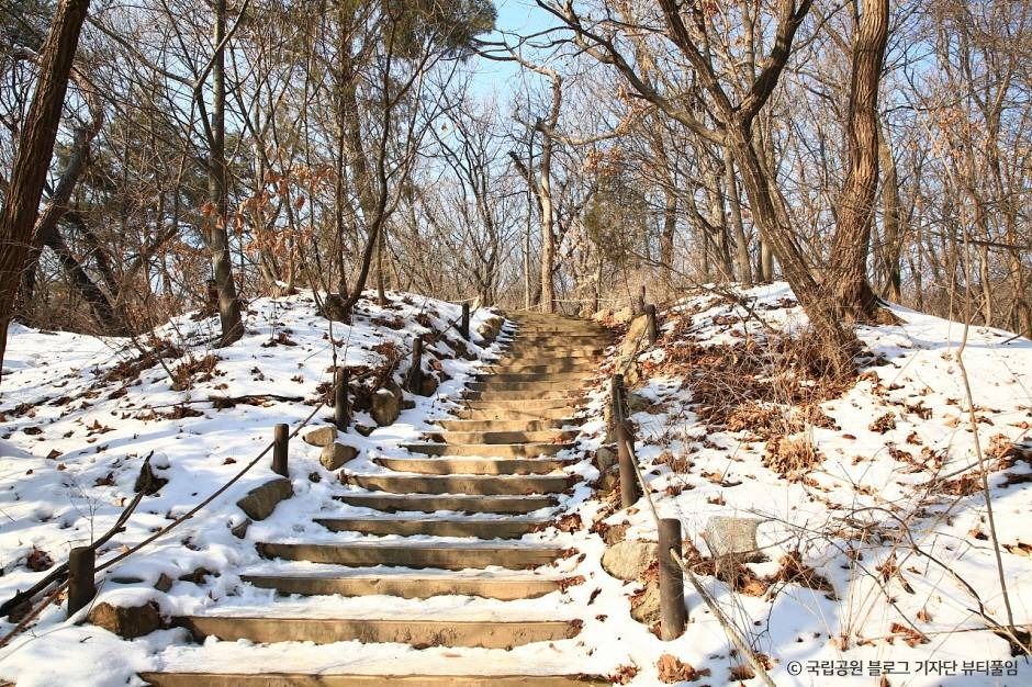 [북한산 둘레길 2구간] 순례길