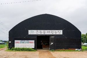 시흥_온동물체험농장 (1)