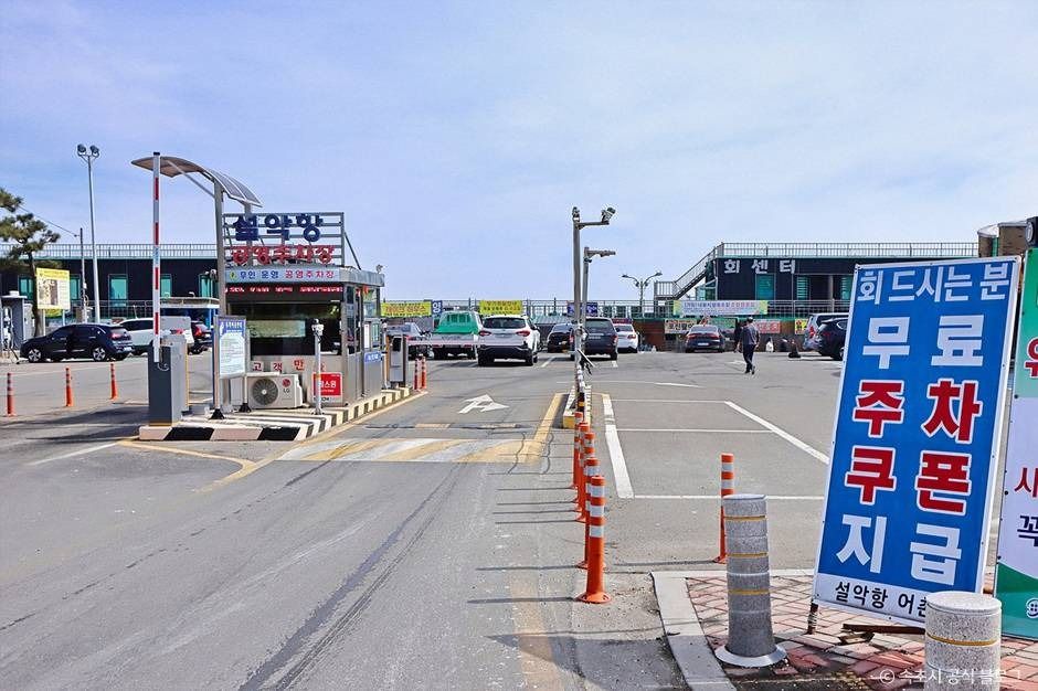 설악항활어회센터