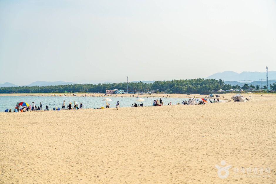 고래불해수욕장
