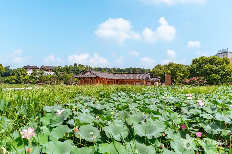 덕진공원