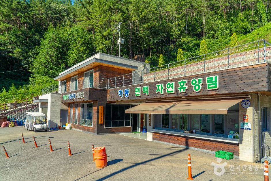 하동 편백자연휴양림