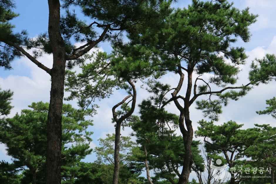 수원 노송공원