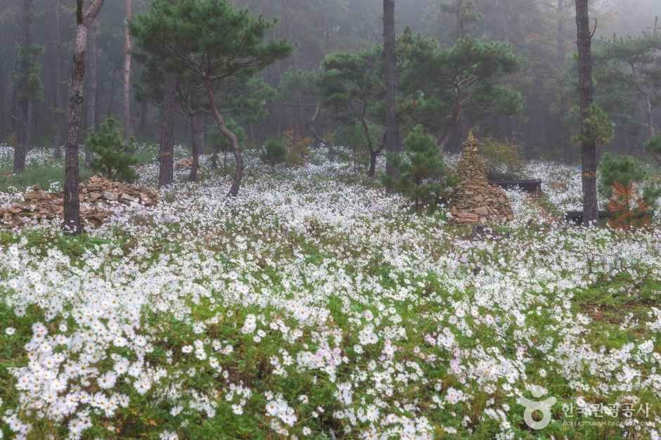 율곡수목원