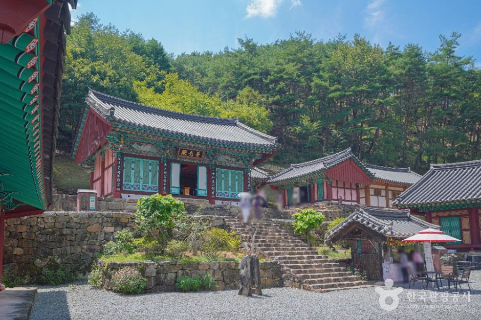 도림사(곡성)