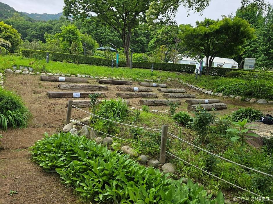 thumbnail-과천야생화자연학습장-5