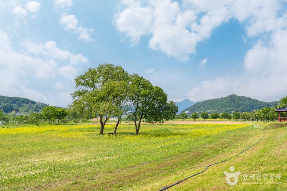 당남리섬