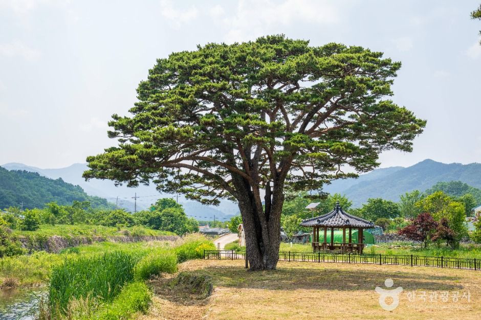 함양 목현리 구송