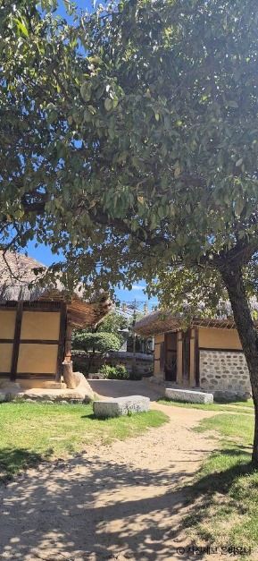 [옥천향수자전거길] 금강 향수 100리 코스