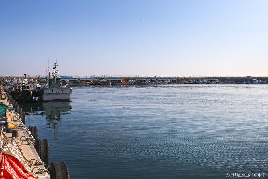 금진항(강릉)