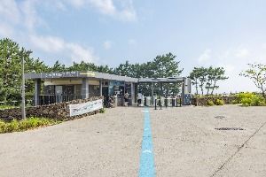 제주_대포해안 (2)