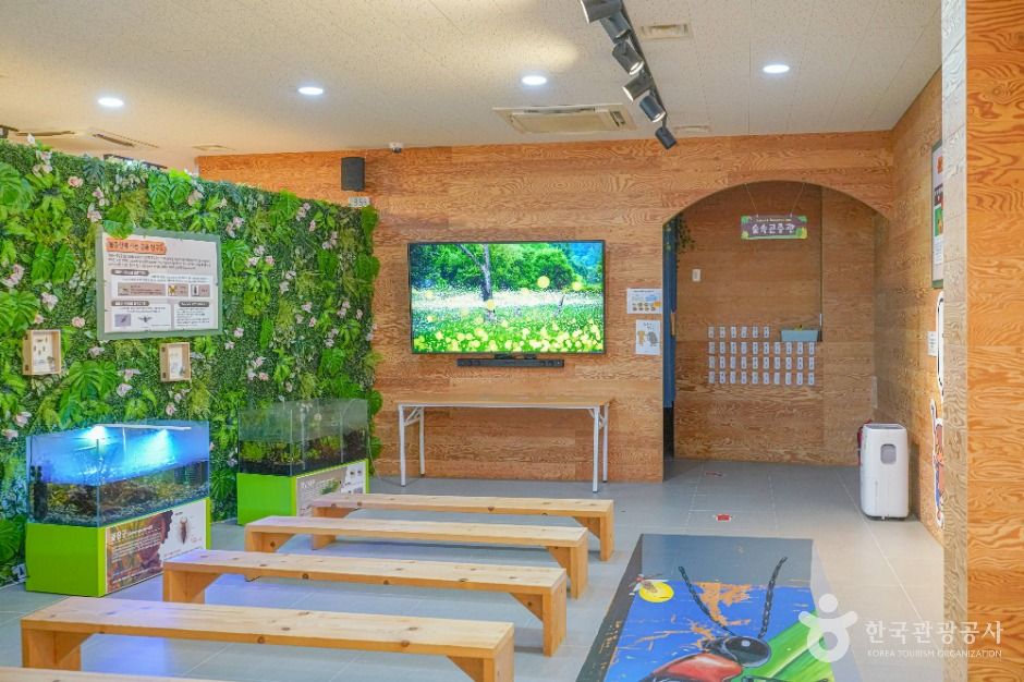 영암곤충박물관