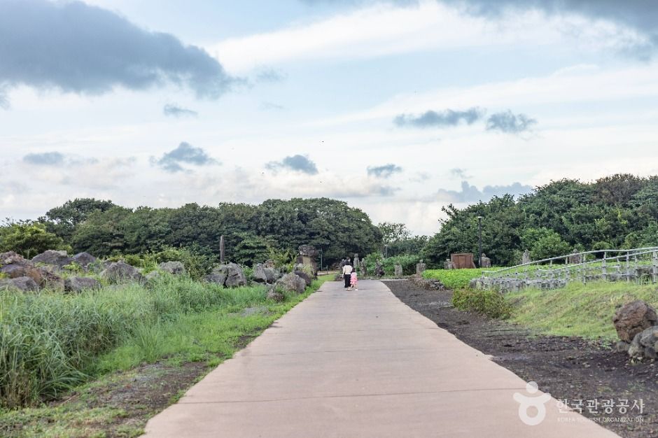 교래 삼다수마을