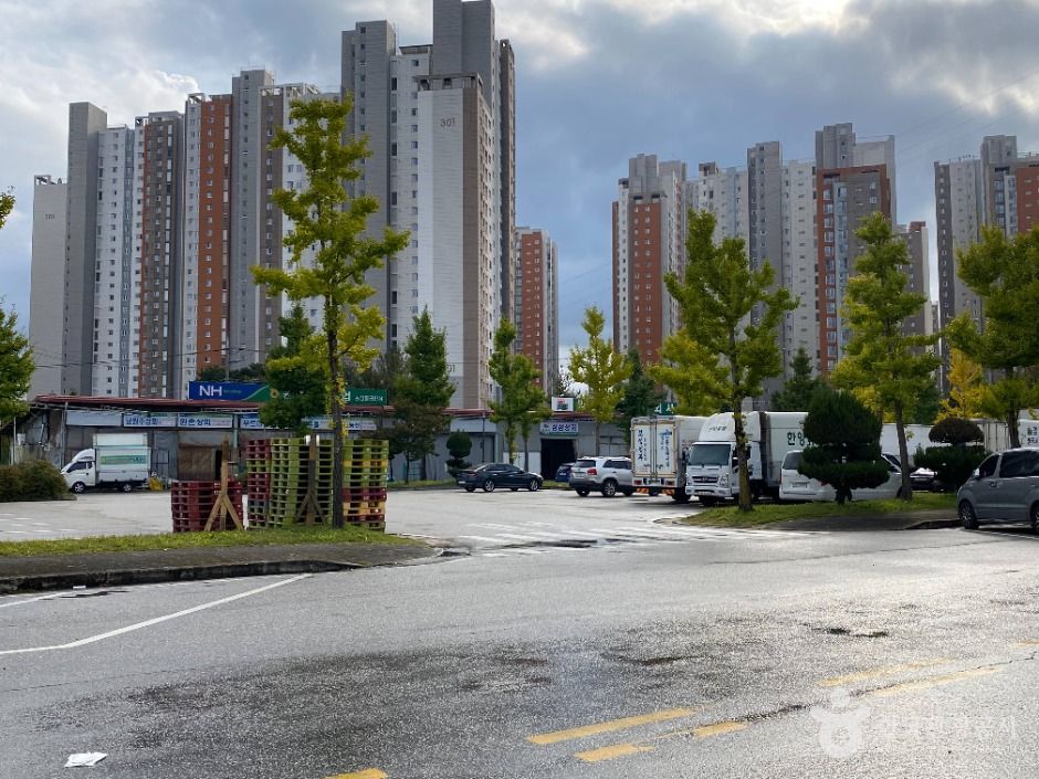 원주_원주 농산물도매시장 (8)