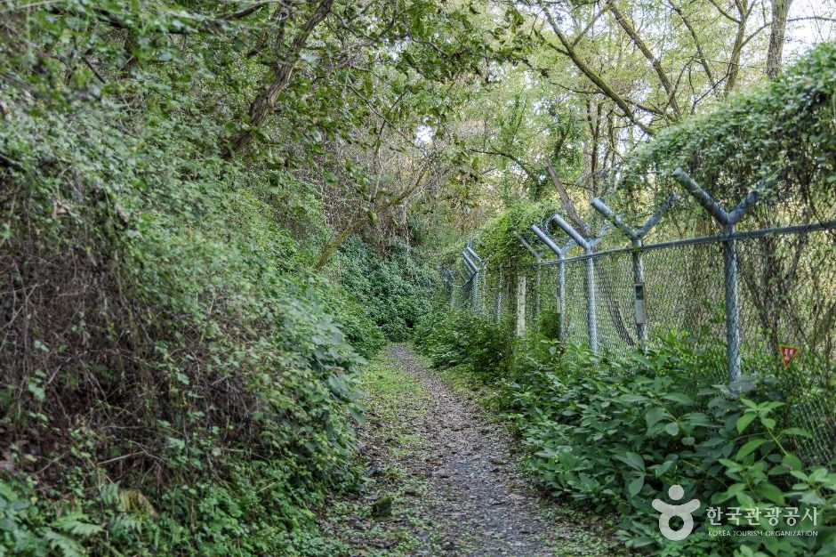 소이산 생태숲 녹색길