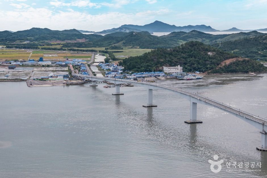 신안_서남문대교 (5)