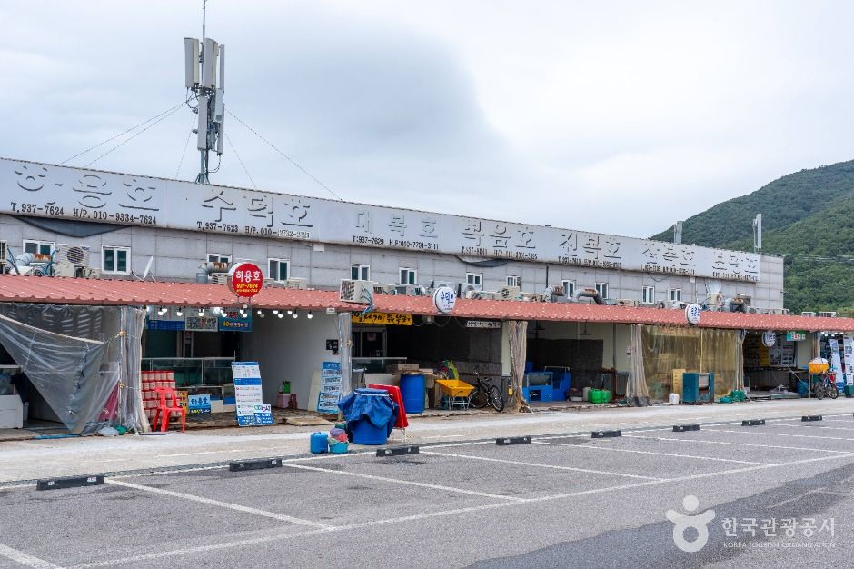 강화_선두5리어시장 (3)