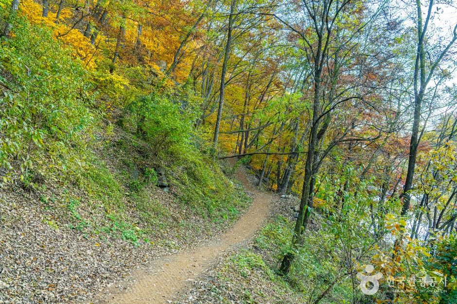영동_월류봉 둘레길 (4)