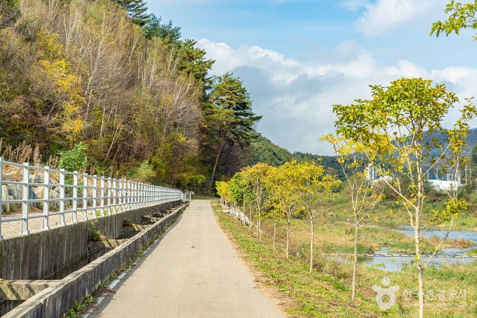 평창_대화장터 가는 길 (2)