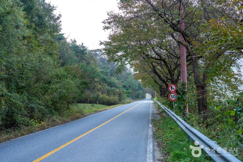 제천_제천 청풍호 자드락길 5코스(옥순봉길) (3)