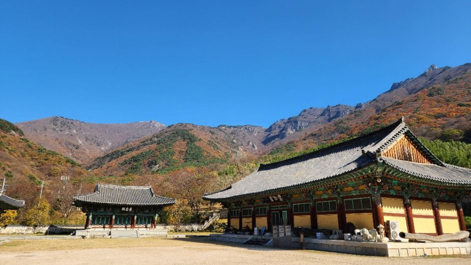 표충사호국박물관