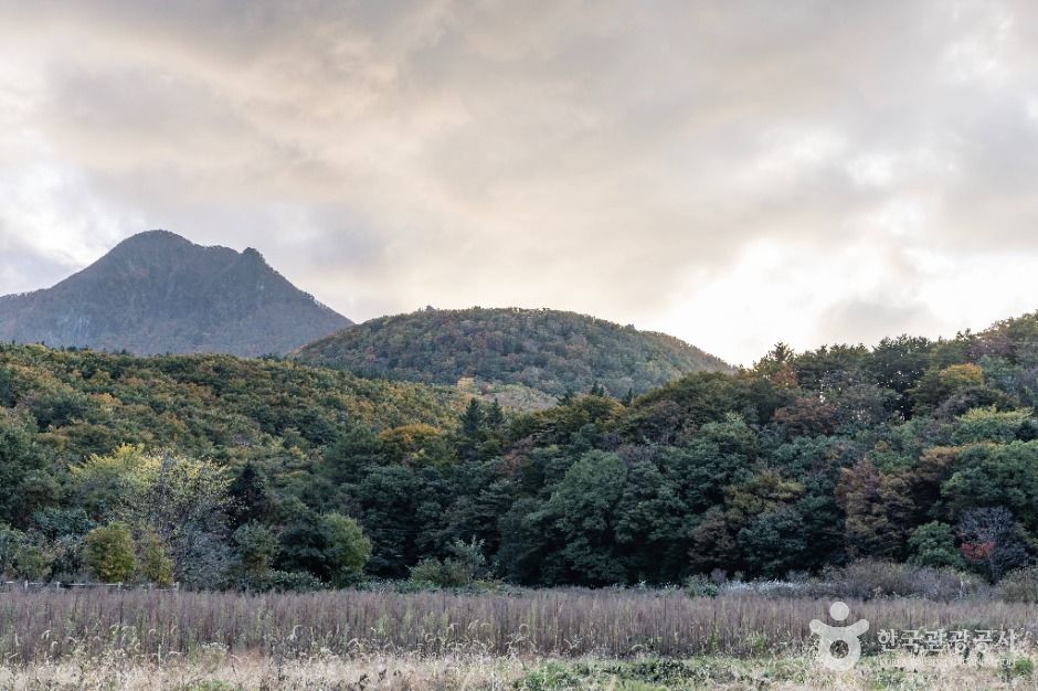 알봉 (울릉도, 독도 국가지질공원)