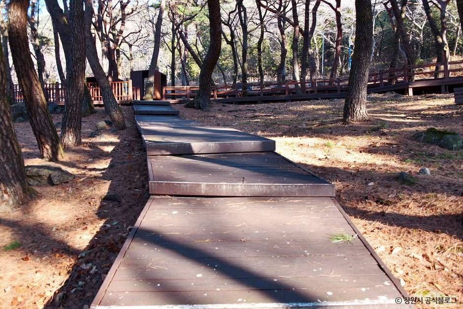 창원 편백 치유의 숲