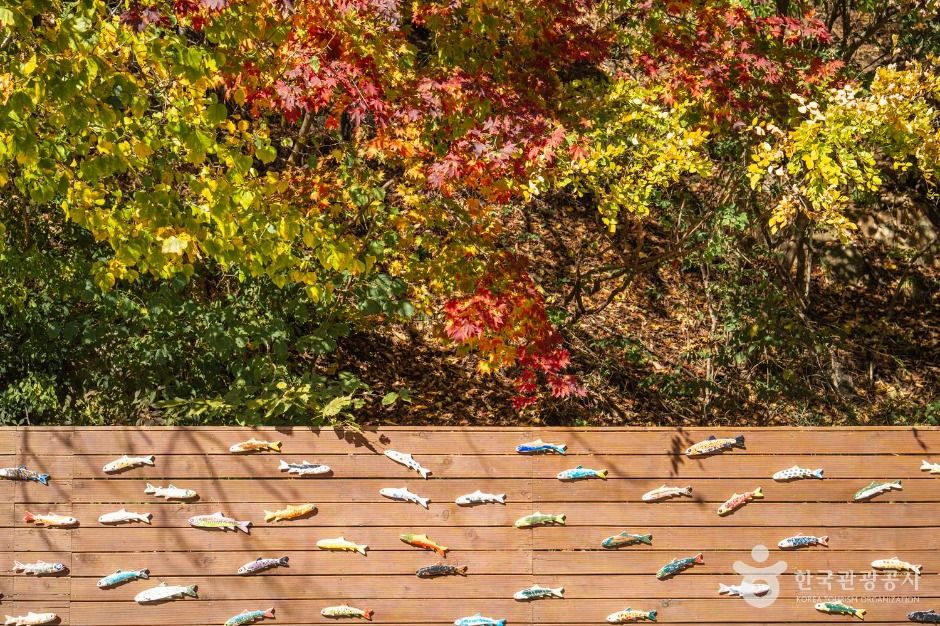 봉화 대현리 열목어 서식지