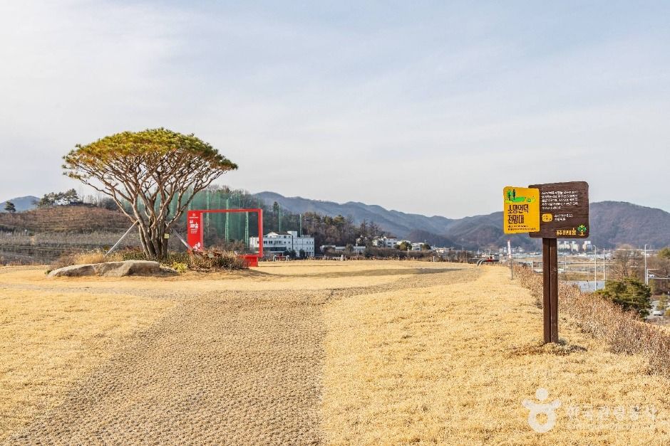 thumbnail-충주 시민의 숲-14