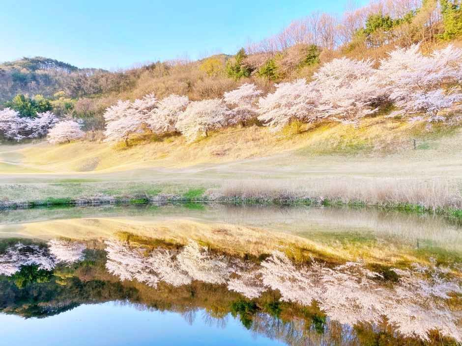 thumbnail-안성베네스트 골프클럽-2