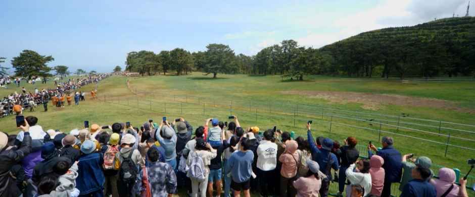 thumbnail-제주마 입목 문화축제-4