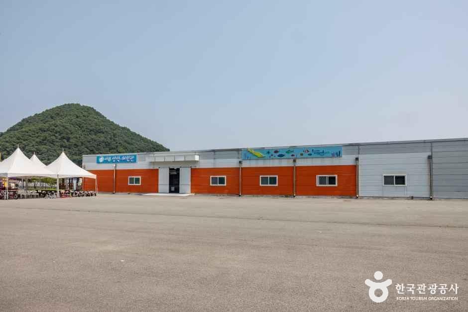 thumbnail-충북아쿠아리움-13