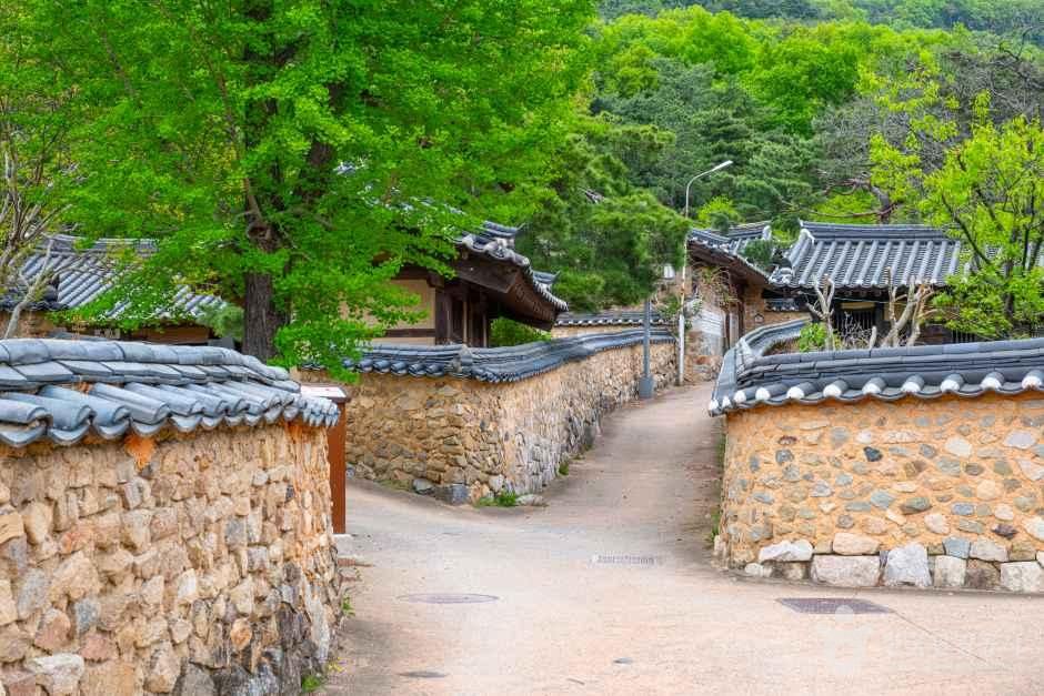 thumbnail-성주 한개마을-6