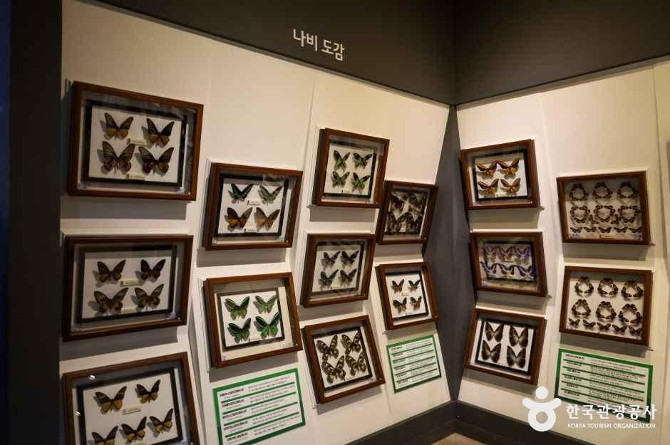 thumbnail-함평엑스포공원-25