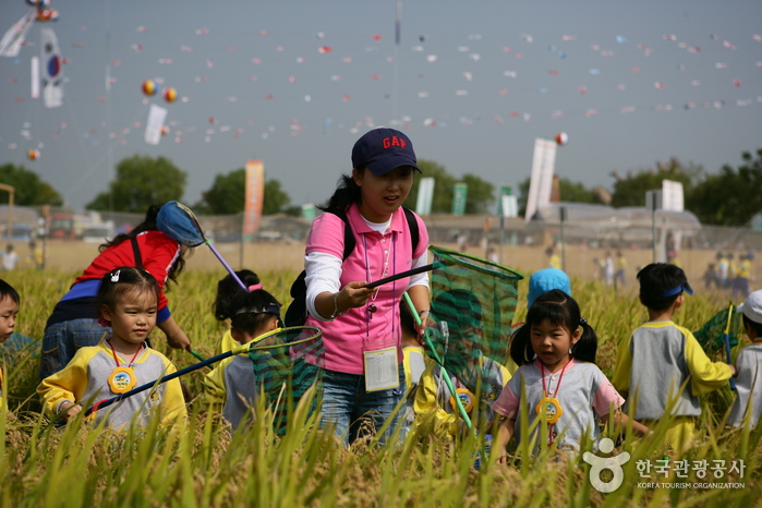 Gimje Horizon Festival (김제 지평선축제)
