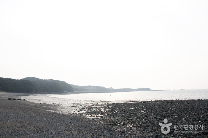 영흥도 십리포해변6