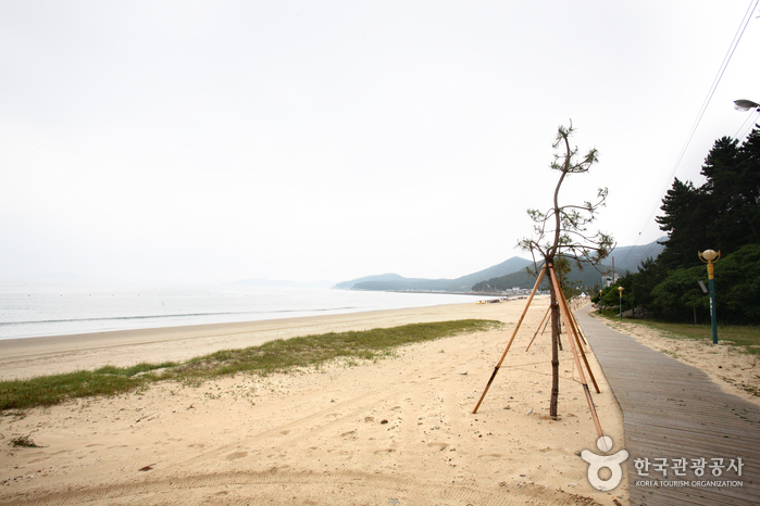 Пляж Синчжи Мёнсасимни (신지 명사십리해수욕장)