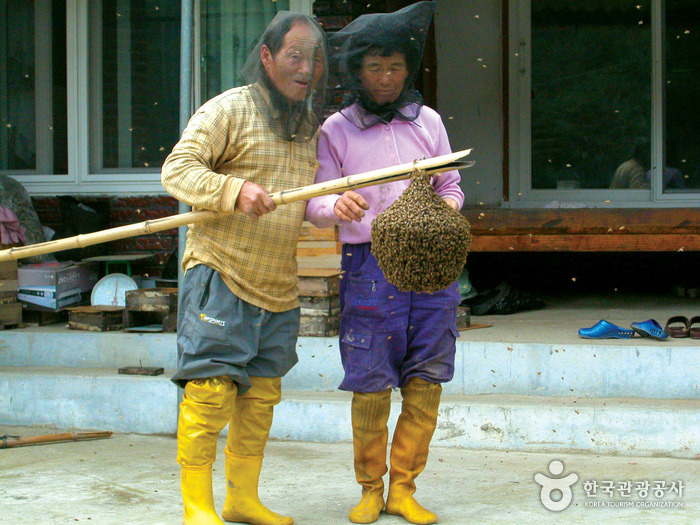 곡성 하늘나리마을9