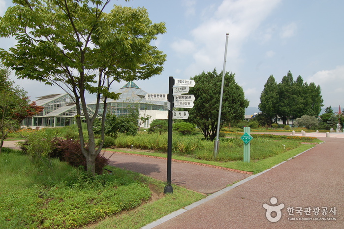 Gangwon-do Provincial Flower Garden (강원도립화목원)