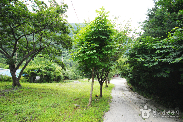 thumbnail-Ganwol Recreational Forest (간월자연휴양림)-22