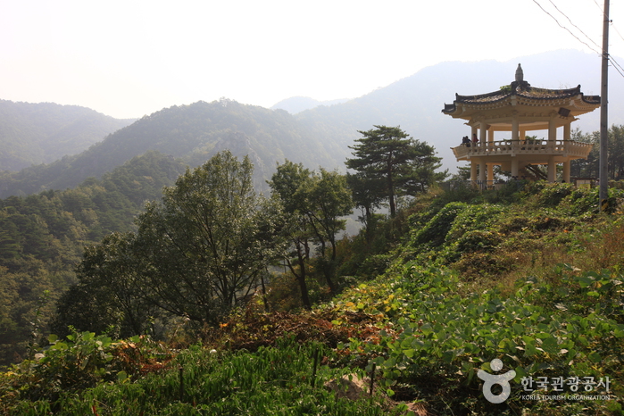 thumbnail-Buryeonggyegok Valley [National Geopark] (불영계곡 (경북 동해안 국가지질공원))-13