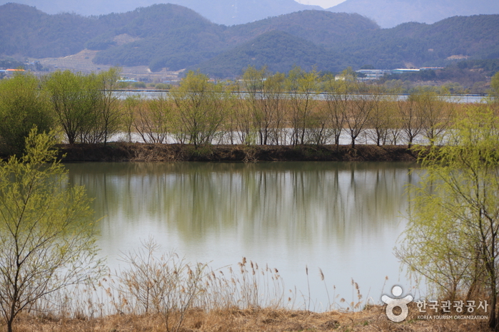 Junam Reservoir (주남저...
