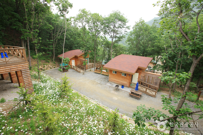 Jwagusan Recreational Forest (좌구산 자연휴양림)7