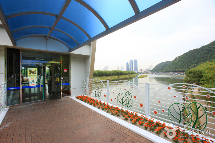 태화강 전망대1