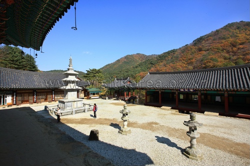 Guryongsa Temple (구룡사)