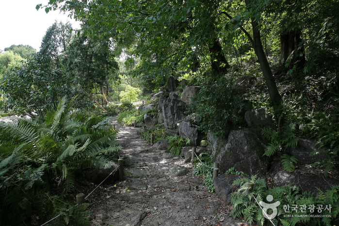 Arboretum national de Corée et musée de la forêt (국립수목원)